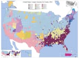 Ancestry_map_of_the_United_States,_2016