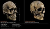 Caucasoid Asiatic skulls in the Americas