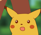 south_reaction.jpeg