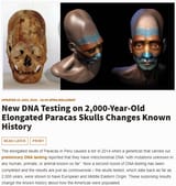 Long skull Paracas Peru European or Middle Eastern