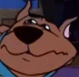 50693585