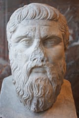 plato busted nose