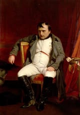 t5_09ter_napoleon_fontainebleau_full-tt-width-716-height-1024-fill-0-crop-0-bgcolor-eeeeee-lazyload-0