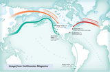migration-theories