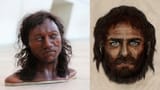 whg western hunter gatherer bullshit mainstream