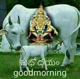 goodmorning3