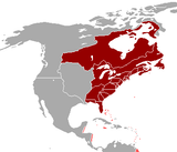 British_America