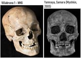 villabruna 1 whg yamnaya skull shape