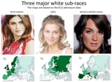 three major white european sub races 