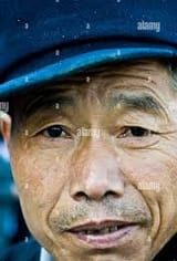 han-chinese-subhuman