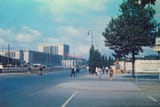 Berlin 1937 Thomas Neumann