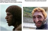 Proto or pseudo