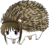 lolbert animal