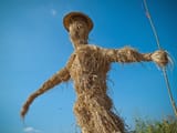 StrawMan2