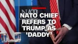 nato-trump-daddy-vrtc