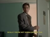 mulder