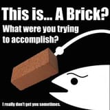 fish brick