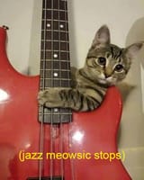 jazz meowsic stops