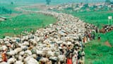 rwanda-genocide-anniversary-01-ap-jef-190403_hpMain_16x9_1600[1]