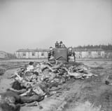 Bergen_Belsen_Liberation_03