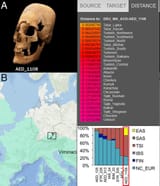 1604988533843