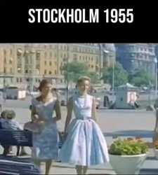 1955_thumb.jpg