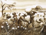 English_School_-_Slaves_picking_cotton
