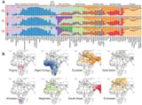 ADMIXTURE_analysis_of_Horn_of_Africa_populations_in_a_broad_context
