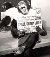 jn27-space-chimp-lives