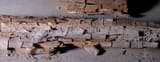 Braunfaeule_Holz_FI20070208