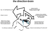 direction brain