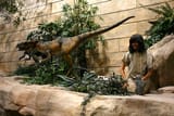 creation-museum-1