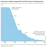 LeadPoisoningGraph-articleLarge