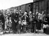 hungarian jews being transported to auschwitz