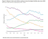 birthratetrends