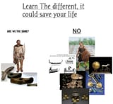Neanderthals vs NBA