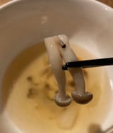 mushroom