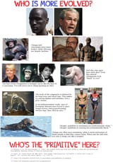 man vs monkey 1752455470026776