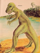 Allosaurus