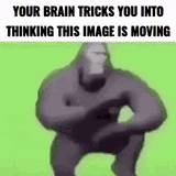 Thread 17865962 OP Image