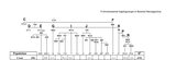 Croats from Bosnia and Herzegovina - Y-DNA
