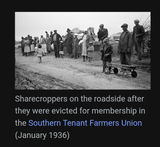 Sharecroppers