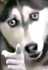 1688869557109284