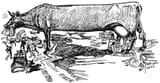 cartoon-us-farming-1896-granger
