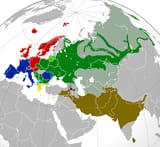 Indo-European languages