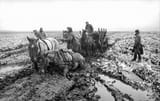 Bundesarchiv_Bild_101I-289-1091-26,_Russland,_Pferdegespann_im_Schlamm