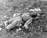 MARINES KILLS BUGS DEAD