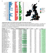 modern brits dna