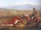 Vaqueros