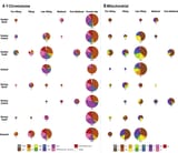 The genetic history of Scandinavia from the Roman Iron Age to the present